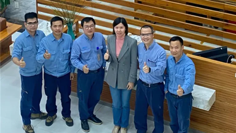 Project visual simulations