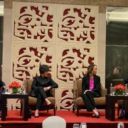 Project visual simulations