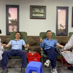 Project visual simulations