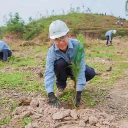 Project visual simulations